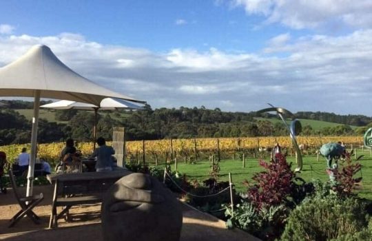 Mornington Peninsula Winery Tours in Melbourne