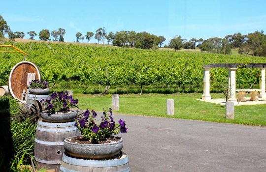 yarra-valley-winery-tours-bn